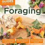 Book Cover on Foraging