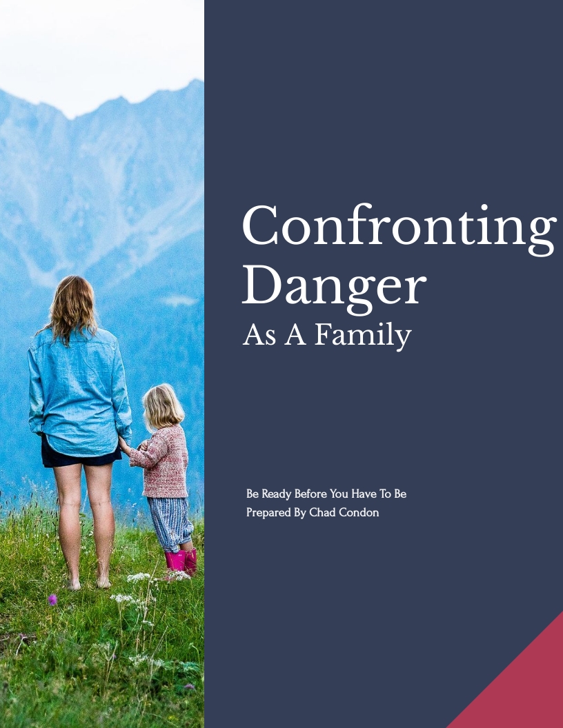 Cover for Confronting Danger As A Family, picture fo a woman with a child in the mountains. Blue cover, with title and author.